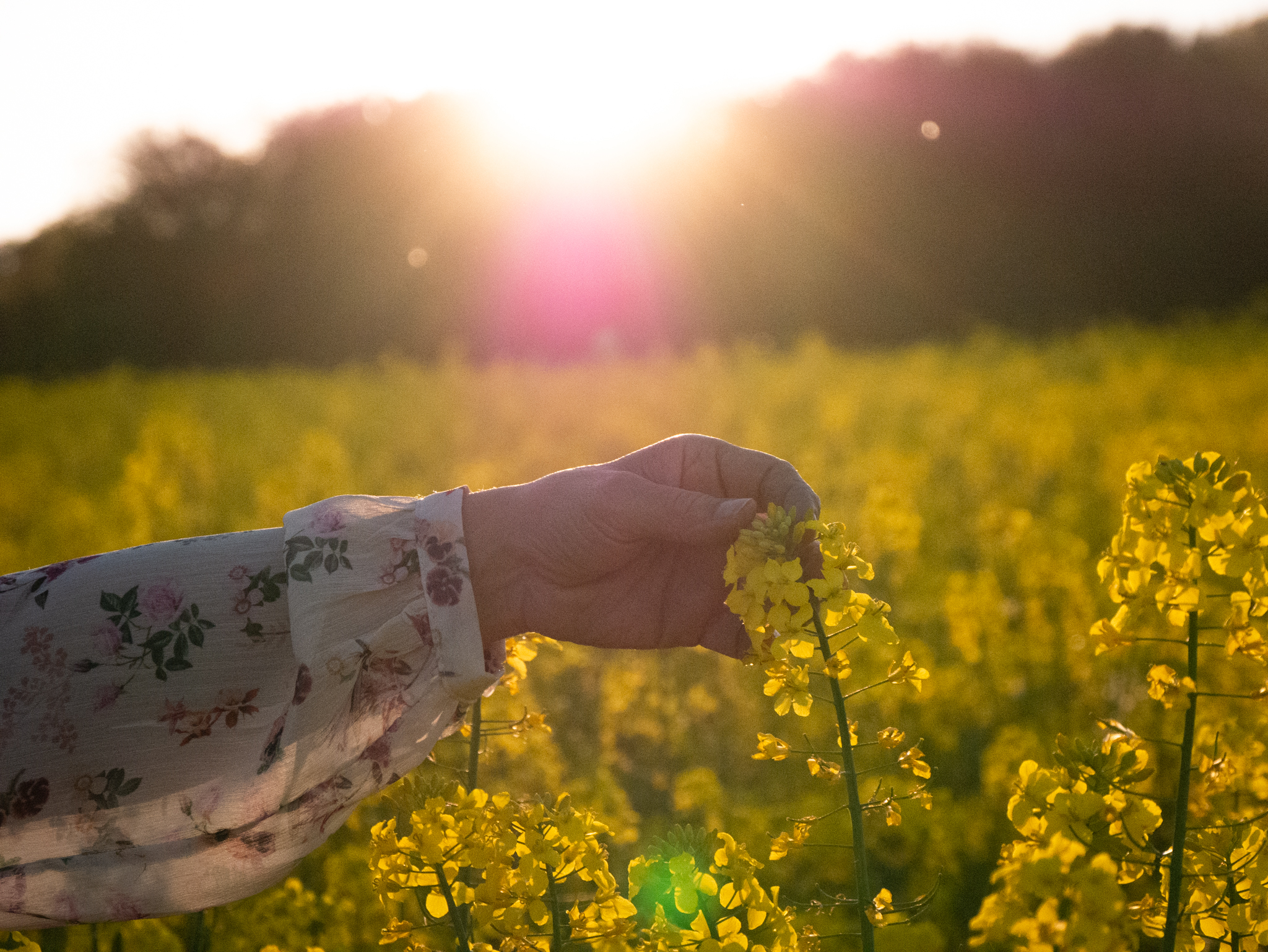 Chakra Crystal Healing