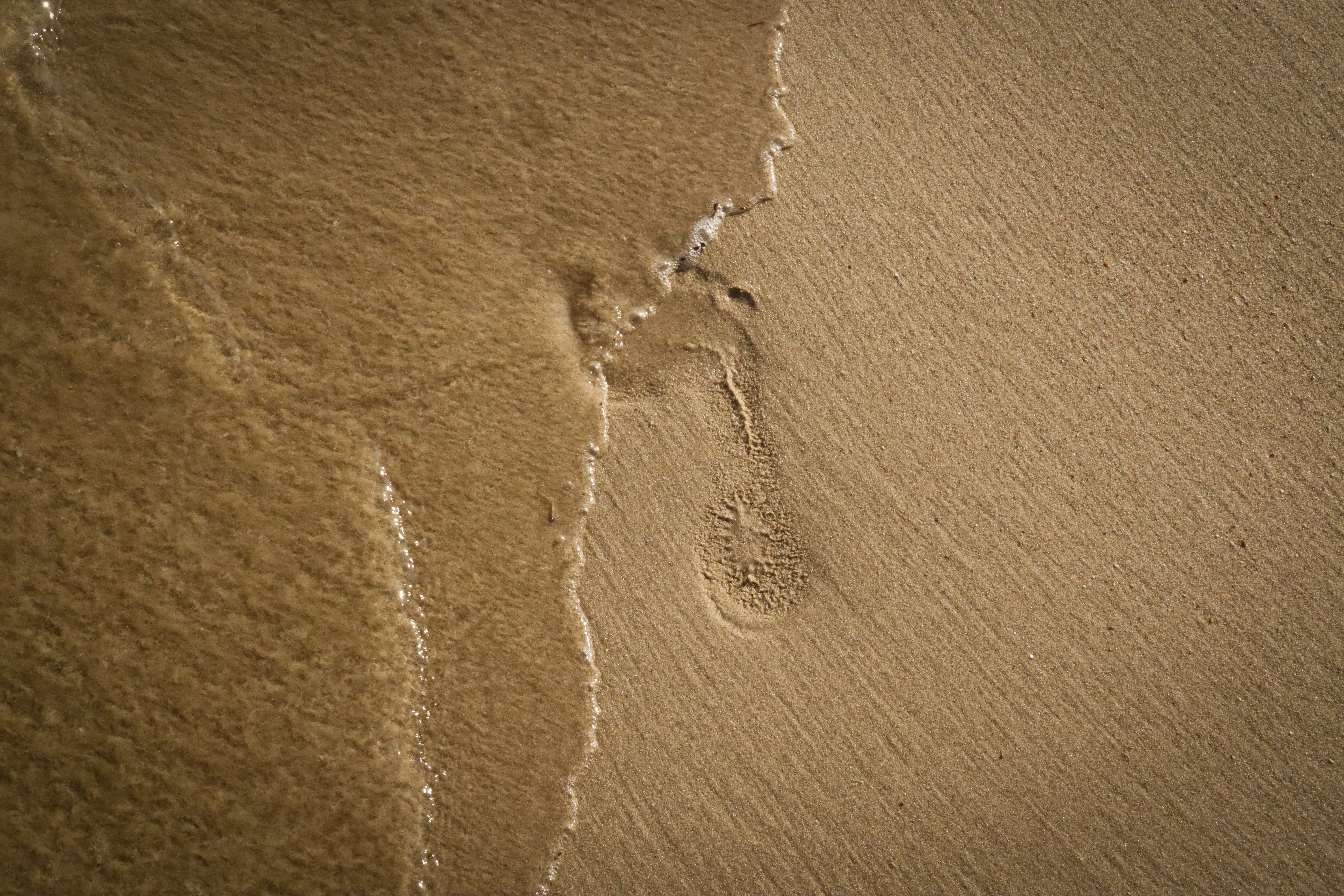 Energetische Narbenentstörung